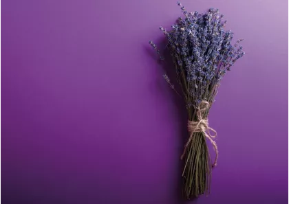 Lavande