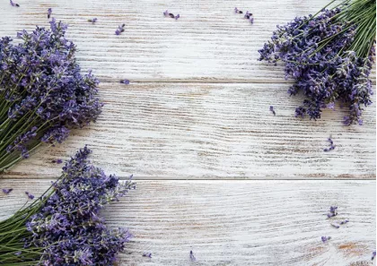 Lavande
